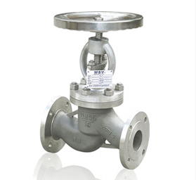 Globe Valve