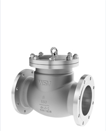 Check Valve