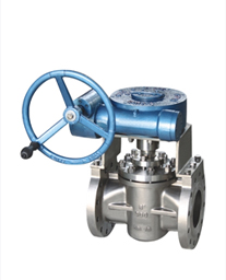 Plug Valves