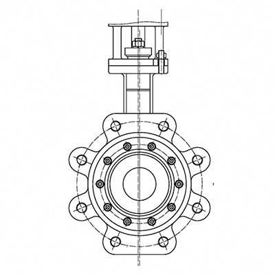 Double Offset Butterfly Valve 